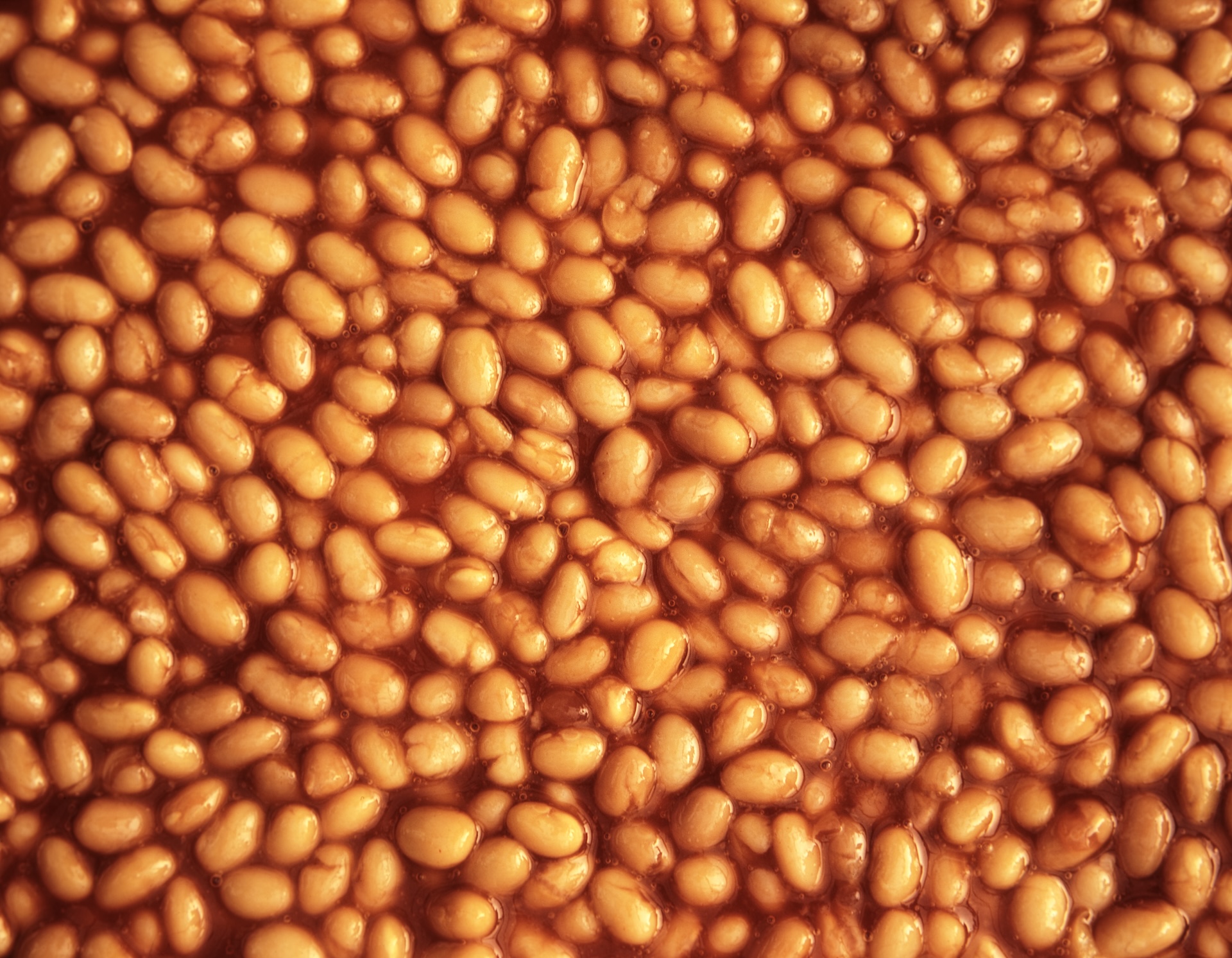 Bath of beans world record attempt in Norfolk