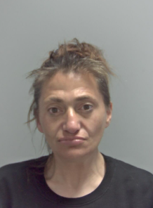 Woman sentenced and banned from Norwich shops